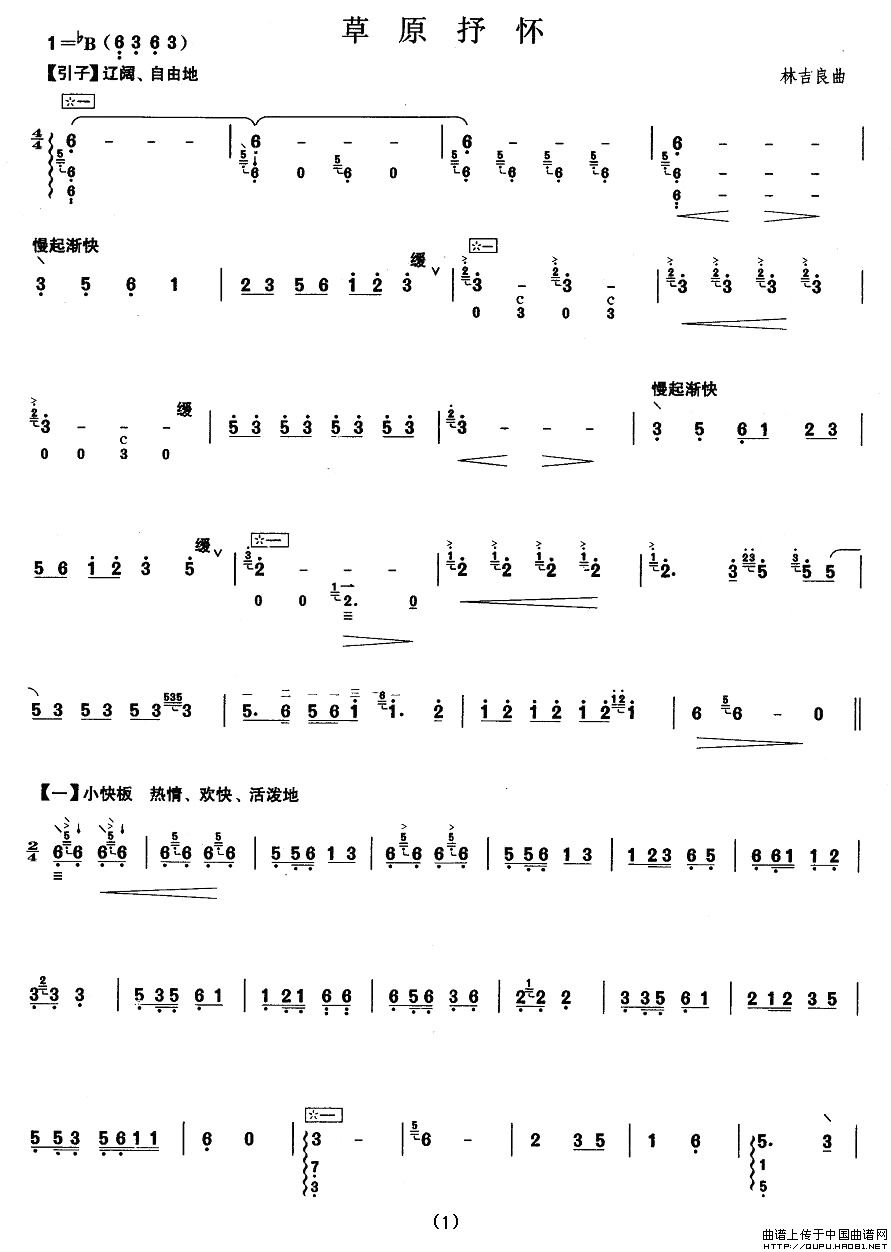 午夜福利专区在线视频 柳琴考级曲目七级：草原抒怀
