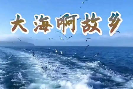 大海啊故乡